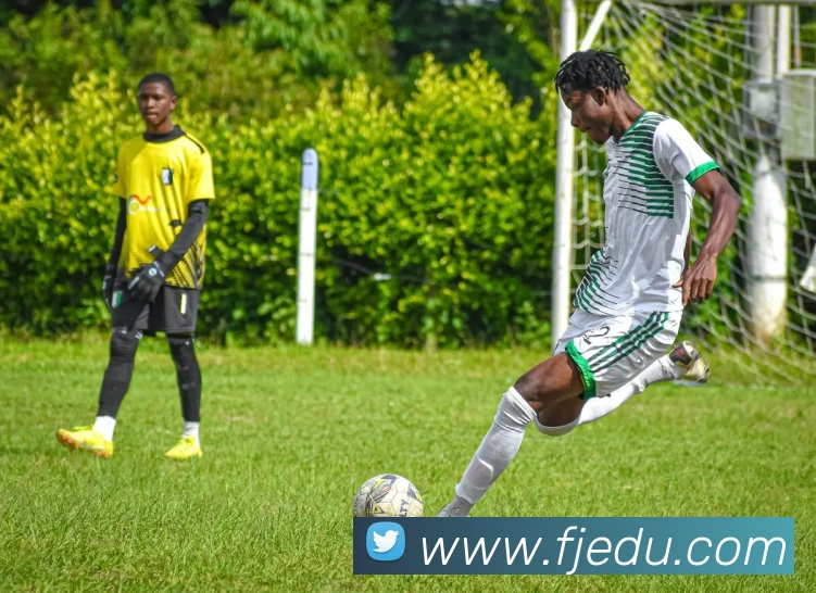 k体育靠谱吗平台生态图